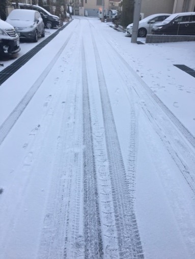 雪