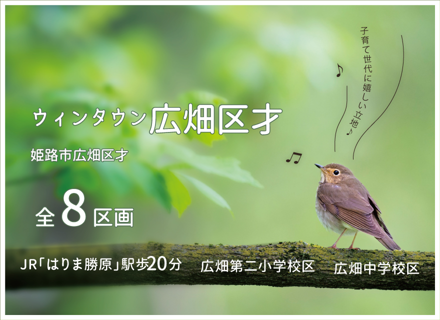 才31893575