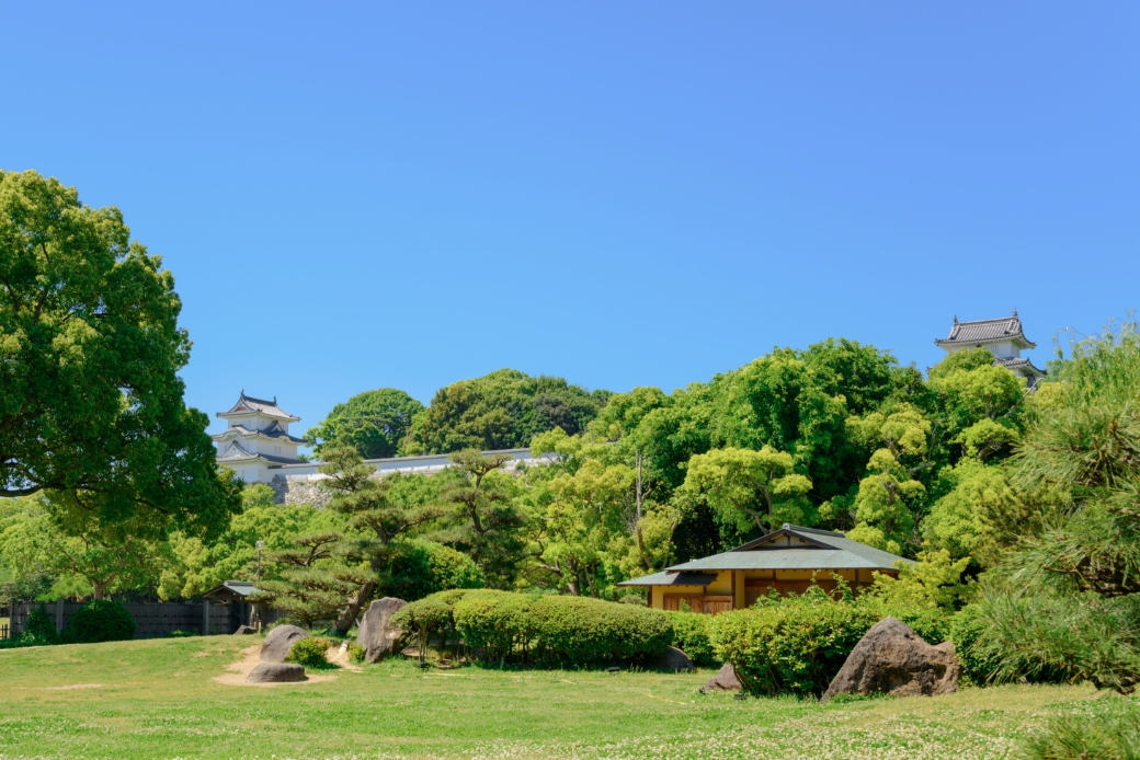 武蔵の庭園