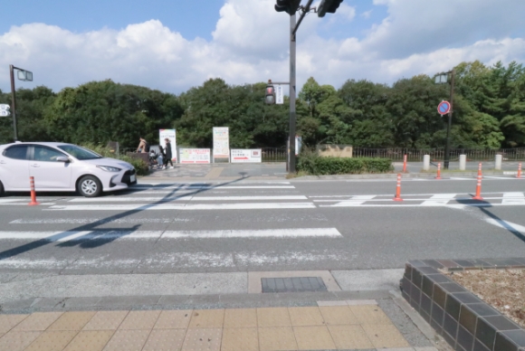 横断歩道を渡ります