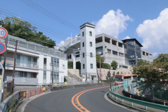 ゆるやかな登り坂を登ります