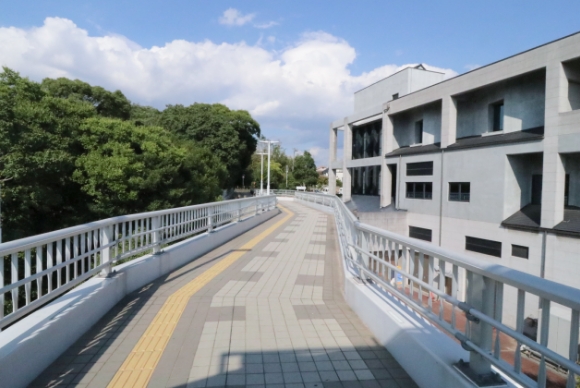 そのまま直進すると現地周辺です