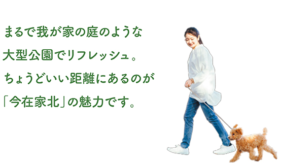 今在家北